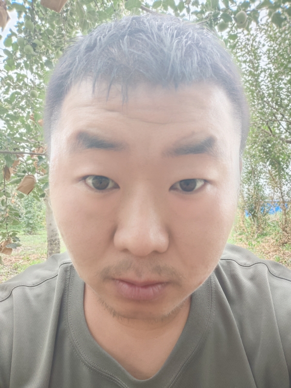 明天的第一张照片--光泽交友网